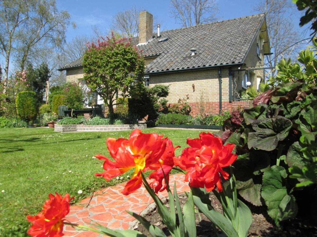 B&B Elbahof, Goed En Goedkoop! Hem Exterior photo