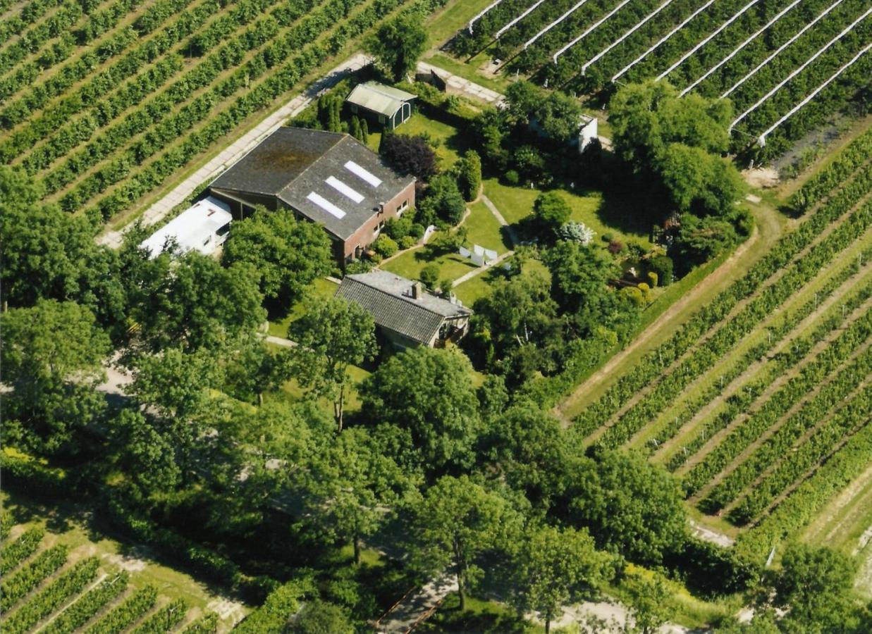 B&B Elbahof, Goed En Goedkoop! Hem Exterior photo