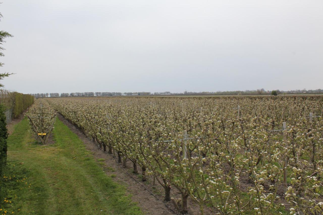 B&B Elbahof, Goed En Goedkoop! Hem Exterior photo