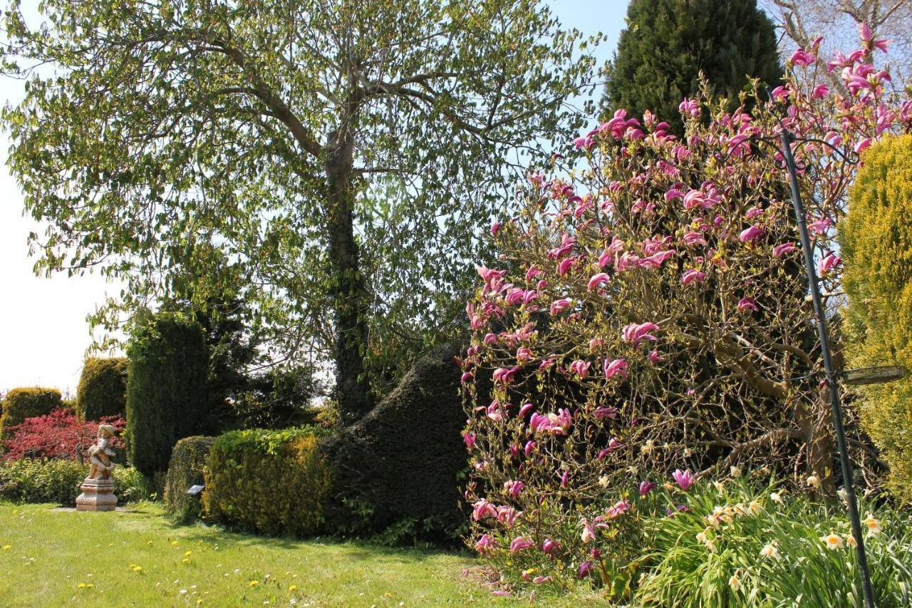 B&B Elbahof, Goed En Goedkoop! Hem Exterior photo