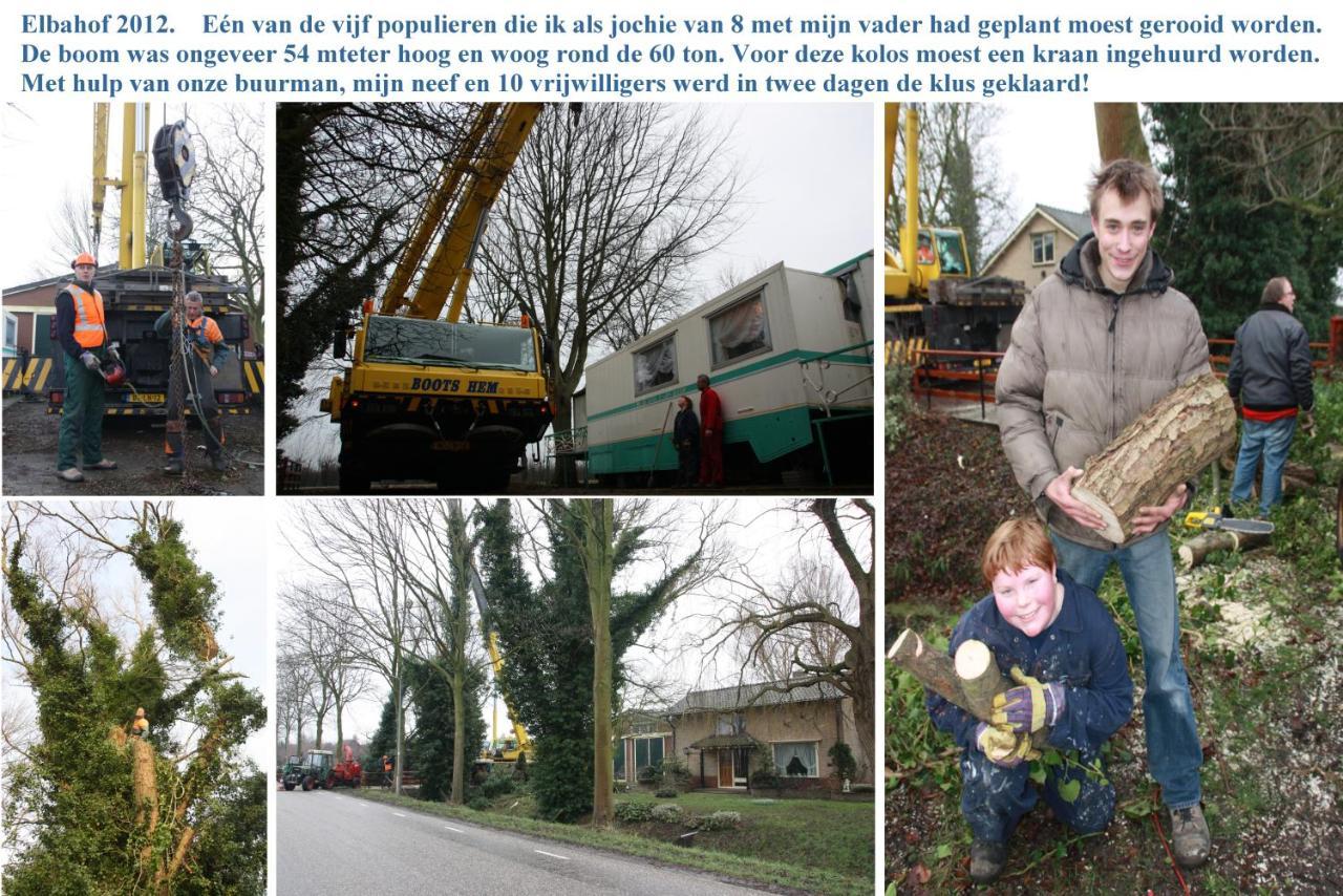 B&B Elbahof, Goed En Goedkoop! Hem Exterior photo